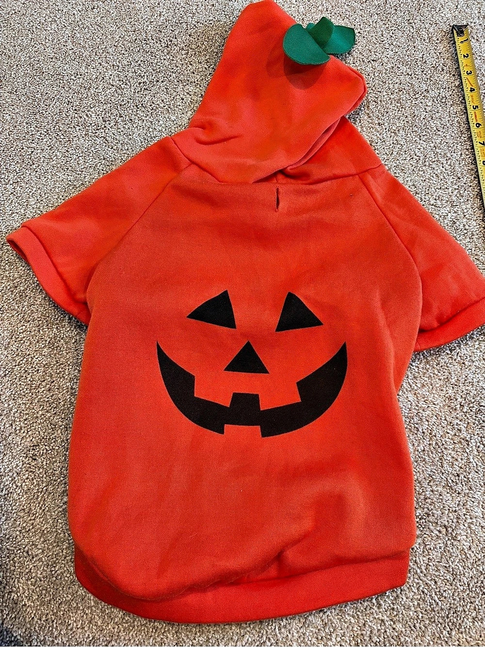 Heart to Tail Pumpkin Halloween Dog Hoodie